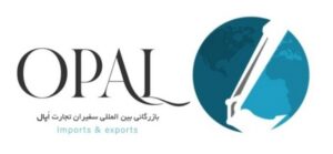 Screenshot_20250806_093742_Canva-300x139